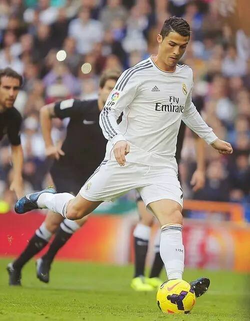 字有可能会 字有可能会