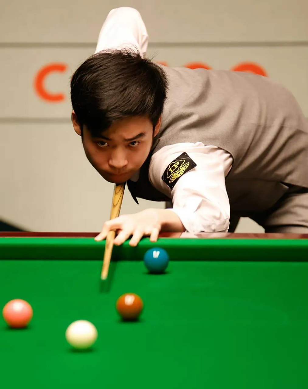 术供应商需 术供应商需