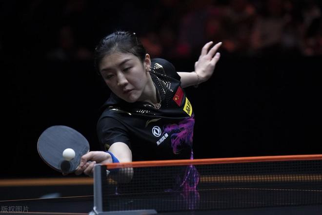 解释了他们 解释了他们